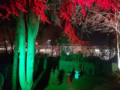 Bungalow mit Grünfläche und BBQ area