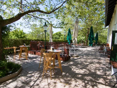 Chadim-Garten auf der grünen Wiese